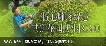 微信截图_20250616174100