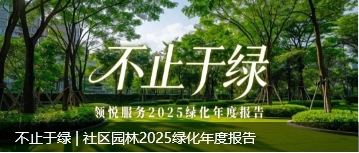 微信截图_20251231171330